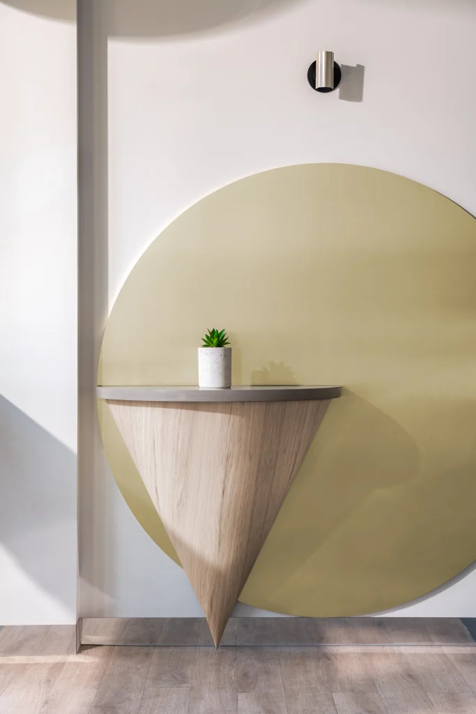 Interior Design - A modern wall shelf with a triangular wooden base and a small potted plant on top against a circular wall design. Dexign Matter Studio