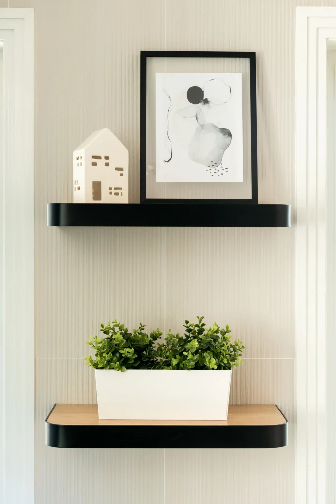 Interior Design - Two black shelves displaying a framed abstract artwork and a white planter with greenery. Dexign Matter Studio
