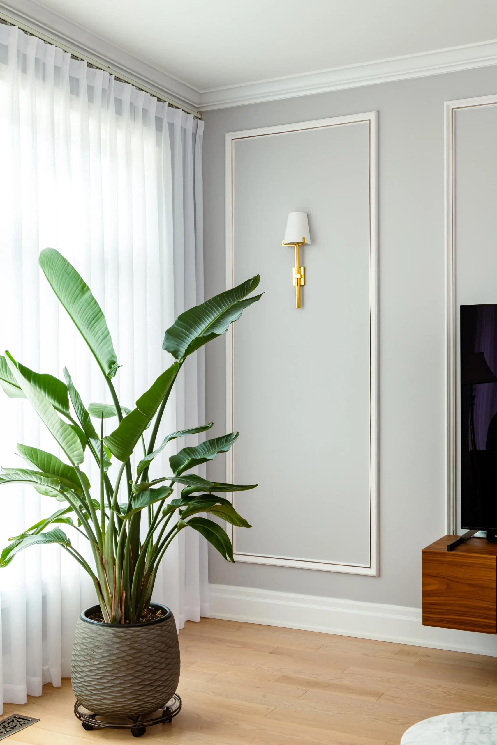 Interior Design - A potted indoor plant next to a wall sconce in a living room setting with light curtains. Dexign Matter Studio