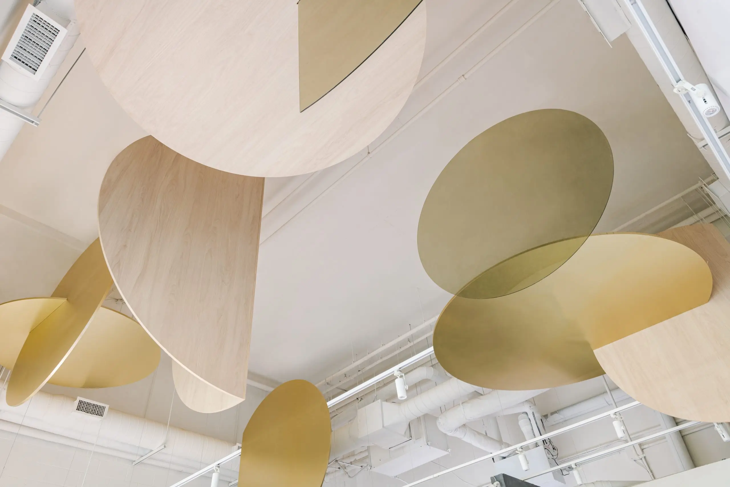 Interior ceiling installation featuring large overlapping circular and elliptical wooden and gold-colored panels hanging from the ceiling, creating an abstract sculptural arrangement.